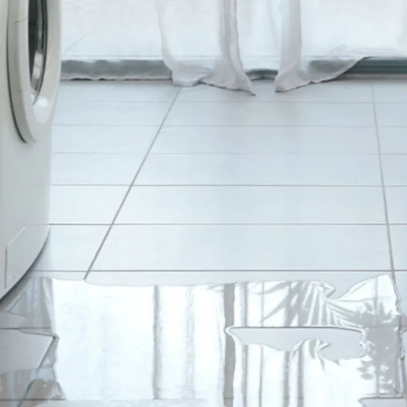 Appliance Leak Cleanup in Bridgton, ME
