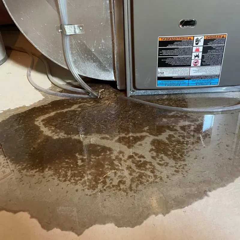 Pipe Burst and Leak Restoration in Bridgton, ME